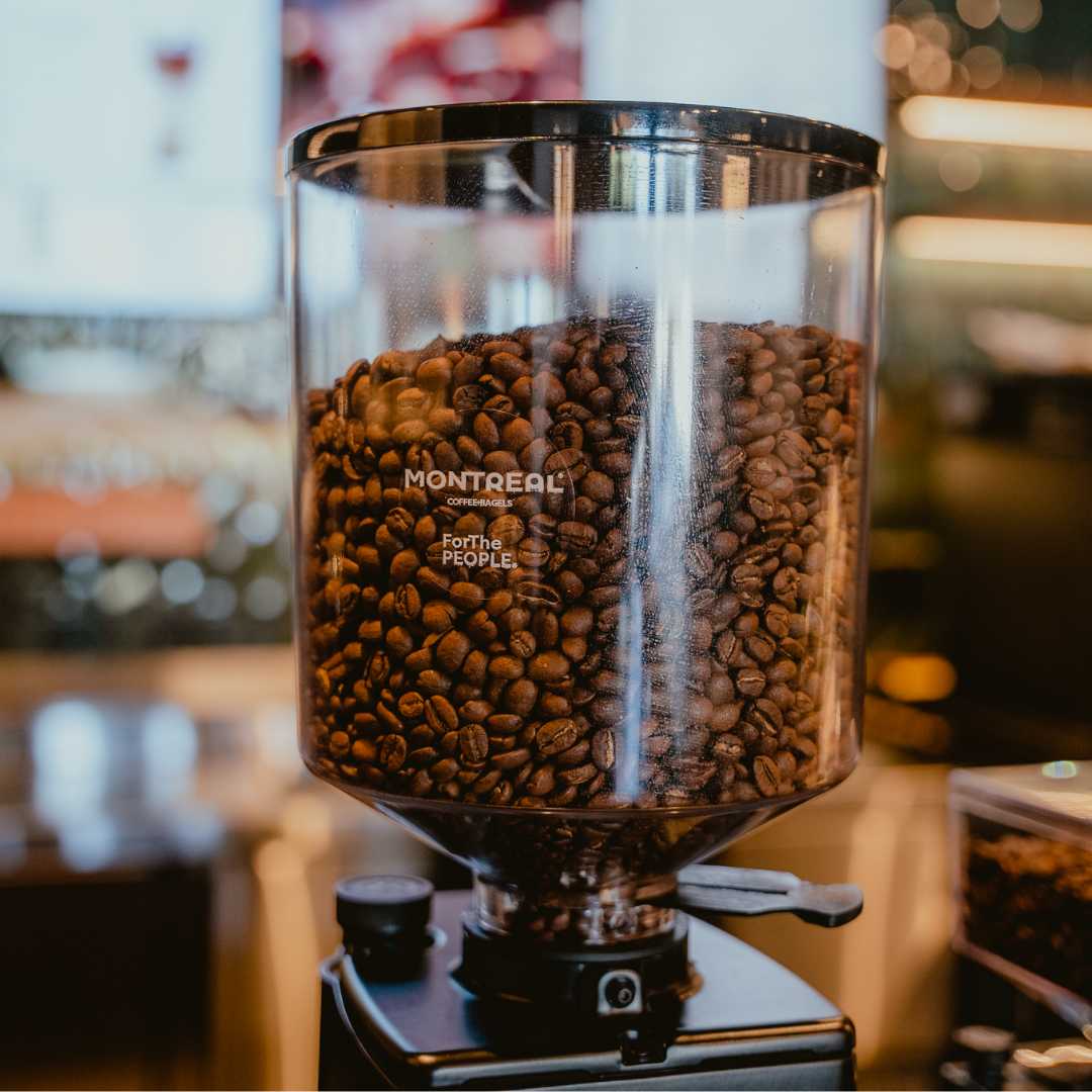 Brewing Productivity: Embracing the Coffee Shop Lifestyle